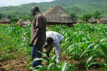 Lagos agriculture